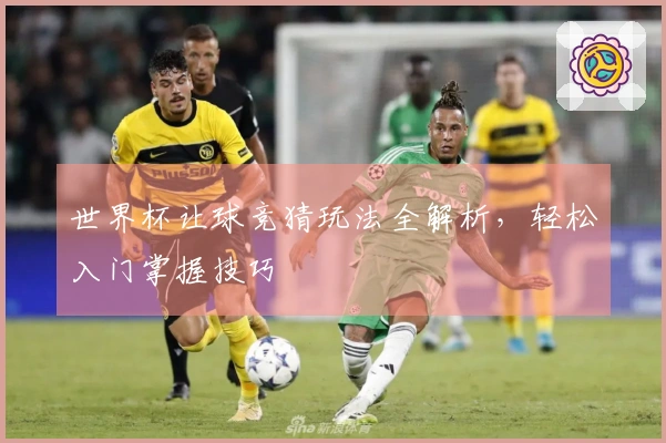 世界杯让球竞猜玩法全解析，轻松入门掌握技巧