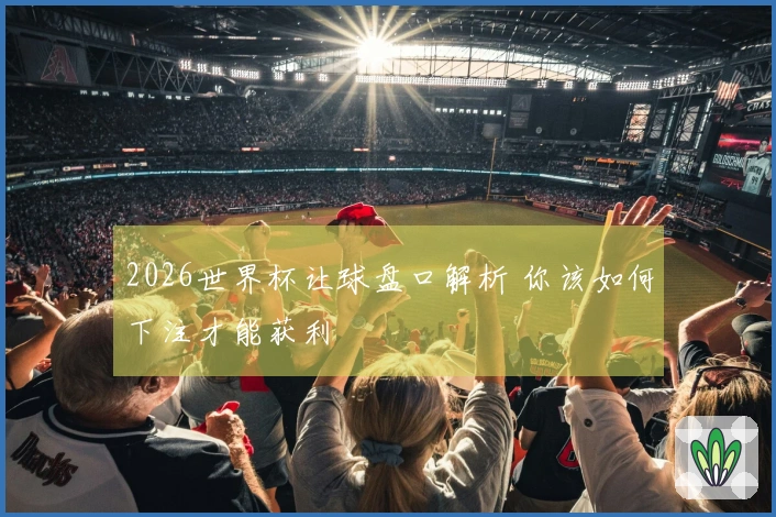 2026世界杯让球盘口解析 你该如何下注才能获利