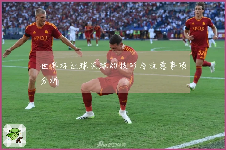 世界杯让球买球的技巧与注意事项分析