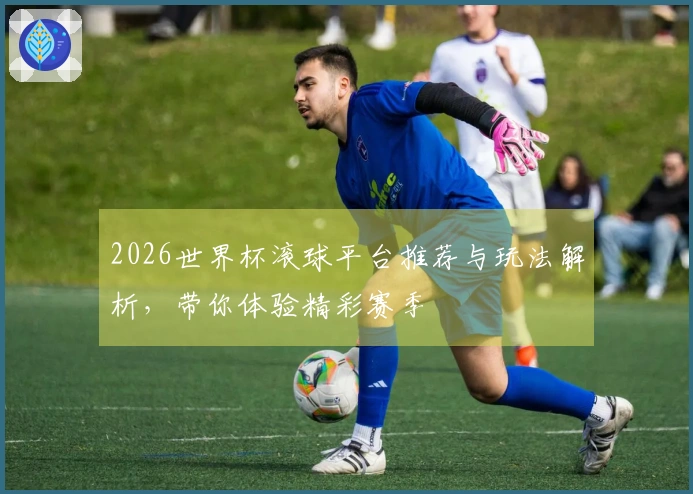 2026世界杯滚球平台推荐与玩法解析，带你体验精彩赛季