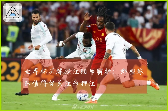 世界杯买球投注赔率解析：哪些球队值得你关注和押注